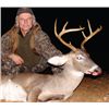 Image 4 : LA-03 EASTERN WHITETAIL HUNT, FIVE DAYS FOR ONE HUNTER IN ALABAMA