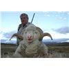 Image 6 : LA-10 ARGENTINA 5-DAY / 6 NIGHT HUNT FOR 1 HUNTER INCLUDING 1 PATAGONIA RAM