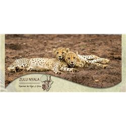 LA-09 SOUTH AFRICAN PHOTO SAFARI FOR TWO, 6 DAYS, 6 NIGHTS WITH ZULU NYALA