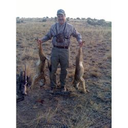 LA-13 COYOTE CALLING CLASS AND COYOTE HUNT FOR 2 HUNTERS