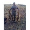 Image 1 : LA-13 COYOTE CALLING CLASS AND COYOTE HUNT FOR 2 HUNTERS