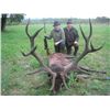 Image 5 : LA-31 YOUR CHOICE 5 DAY HUNT IN EUROPE FOR 1 HUNTER AND 1 NON-HUNTER WITH SRDJA DIMITRIJIVIC