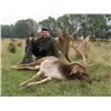 Image 6 : LA-31 YOUR CHOICE 5 DAY HUNT IN EUROPE FOR 1 HUNTER AND 1 NON-HUNTER WITH SRDJA DIMITRIJIVIC