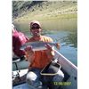 Image 3 : LA-26 3 DAYS OF FLY FISHING FOR 2 AT KNOTT CREEK RESERVOIR IN NEVADA