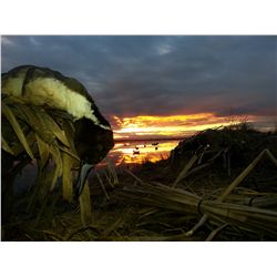 LA-30 ENJOY A DUCK DAY IN THE HEART OF THE PACIFIC FLYWAY - FOR 1 OR 2 DUCK HUNTERS