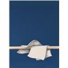 Image 1 : Lennart Nystrom, Two Sheets (Blue), Serigraph