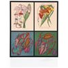 Image 1 : Mihail Chemiakin, Untitled, Serigraph