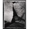 Image 1 : Brad Starks, Forms 4, Photograph