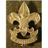 Image 1 : VINTAGE GOLD BOY SCOUTS OF AMERICA INSIGNIA