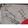 Image 2 : WWII JAPANESE MEATBALL FLAG ORIGINAL SIGNED