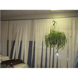 VERTICAL BLIND - 9'