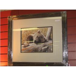 FRAMED L E PRINT "TIME OUT - GRIZZLY CUB