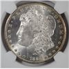 Image 2 : 1884 CC MORGAN DOLLAR NGC MS 65 GEM