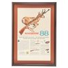 Image 2 : Fantastic Pre-64 Winchester Model 88 Lever Action Rifle with Original Box