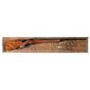 Image 1 : Colt Sauer Sporting Bolt Action 25-06 Remington Rifle with Box