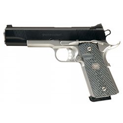 Wilson Combat Protector Semi-Automatic Pistol