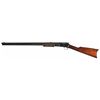 Image 2 : Exceptional Colt Lightning Medium Frame Slide Action Rifle
