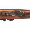 Image 5 : Exceptional U.S. Springfield Model 1875 Trapdoor Officer's Rifle