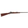 Image 1 : Springfield Model 1884 Trapdoor Carbine