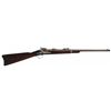 Image 1 : U.S. Springfield Model 1879 Trapdoor Carbine