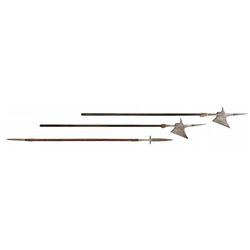 Two German Style Halberds and a Boar Spear