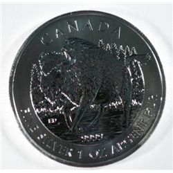 2013 CANADIAN WILDLIFE SERIES "BISON" THE LASTEST EDITION OF THIS POPULAR COIN