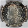 Image 2 : 1881 S MORGAN DOLLAR NGC MS 64 PL WHITE + COLOR