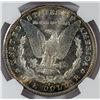 Image 3 : 1881 S MORGAN DOLLAR NGC MS 64 PL WHITE + COLOR