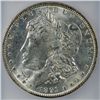 Image 2 : 1891 MORGAN DOLLAR ICG MS 63 BLAST WHITE
