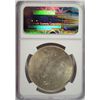 Image 4 : 1924 PEACE SILVER DOLLAR, NGC MS-63