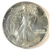 Image 1 : 1987 SILVER AMERICAN EAGLE UNC