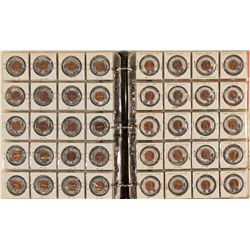 Encased Penny Collection