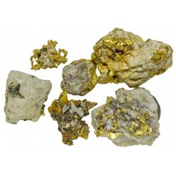 Gold in Quartz Specimens