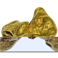 Gold Nugget