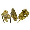 Image 1 : Gold Nugget Stick Pins