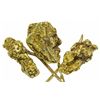 Image 1 : Gold Nugget Stickpins