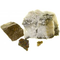 World Gold Specimens