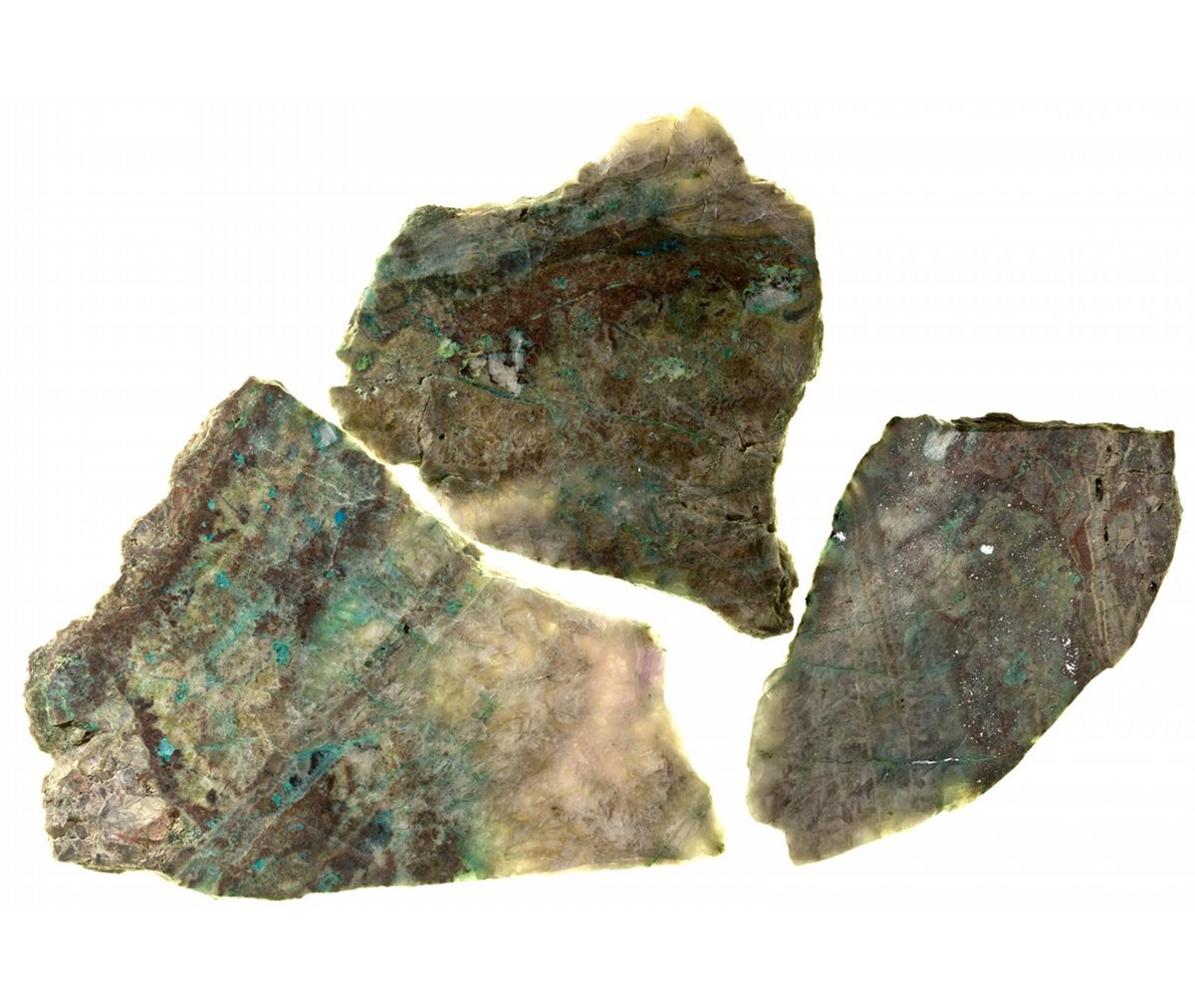 NV, -Nye County-Electrum Ore Slabs from Old Bullfrog Mine