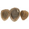 Image 1 : CA, Mono County--Winnowing Baskets Trio