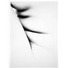 Image 1 : Rieder, Jaap,Amsterdam 1979,Bariet-silverprint 1980,36,5 x 26,5 cm,Signed on back and frame, €275...