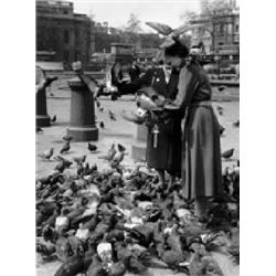 Heijbroek, W.,Trafalgar Square,23,3 x 17,2 cm,vintageprint, €100-120...