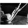 Image 1 : Heijbroek, W.,Tros,28,8 x 22,7 cm,silverprint, €80-100...