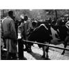 Image 1 : Heijbroek, W.,Veemarkt,29,9 x 39,9 cm,silverprint , €100-120...