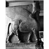 Image 1 : Scherer, Kees,Museum, Parijs 1957,vintage bromideprint 1/2,22 x 28 cm,Signed,Illustrated in 'Het...