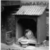 Image 1 : Campert, Cleo,Tempel II, 1997,50 x 50 cm,cibachrome,Signed, €550-600...