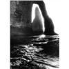 Image 1 : Heijbroek, W.,Without title,39,6 x 29,5 cm,silverprint , €100-120...