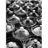 Image 1 : Heijbroek, W.,Flessen,39,5 x 29,6 cm,silverprint, €80-100...