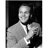 Image 1 : Hoffmann, Dezo,Harry Belafonte 1959,Pat Boone 1959,21,5 x 16,6 cm,Poletto, G.B.,Frank Sinatra 195...