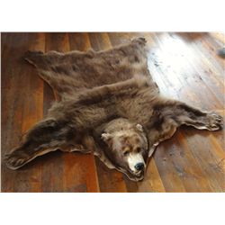 Black bear rug, calf hide on under-side