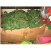 Image 1 : BOX OF CHRISTMAS